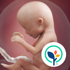 BabyCenter: Minha gravidez e meu bebê hoje Logo